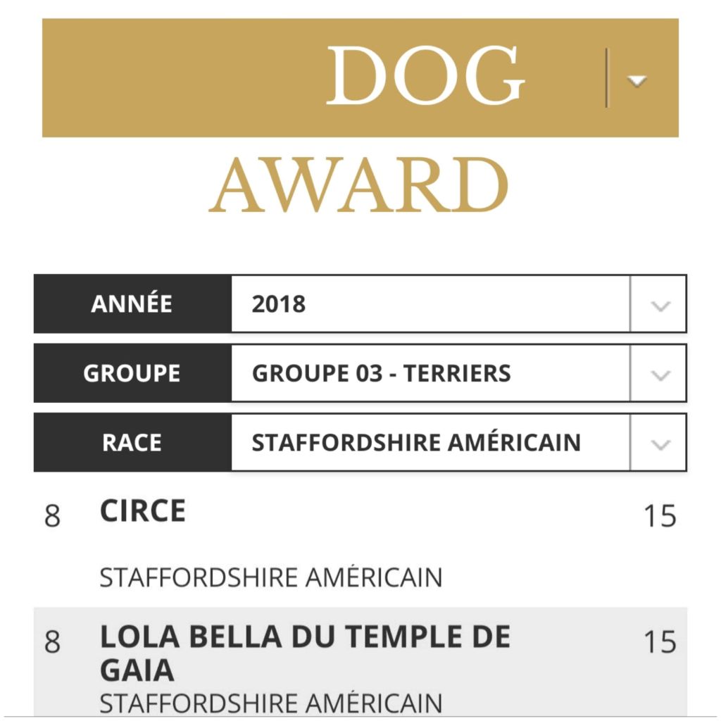 Legend Of Dreams - CIRCÉ 8ème ex aequo Meilleur American Staffordshire Terrier 2018