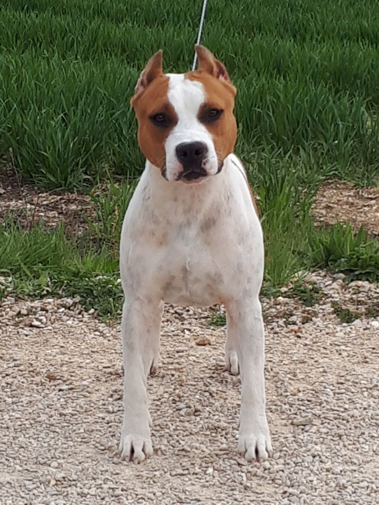 Legend Of Dreams Reasons why i love you